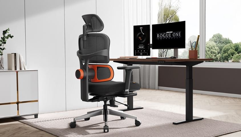 Buy Ergonomic Chairs